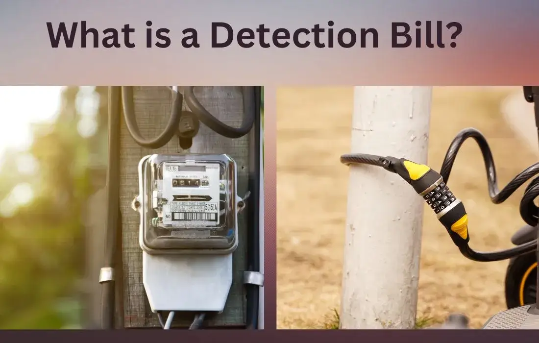 Detection Bill